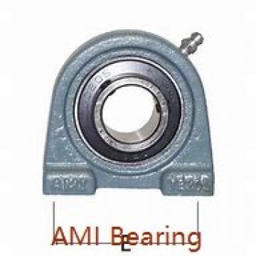 AMI BPPL6-20MZ2CEB  Pillow Block Bearings