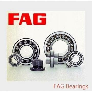 360 mm x 600 mm x 243 mm  FAG 24172-E1  Roller Bearings