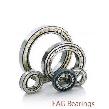 FAG 100HCRRDUL  Miniature Precision Ball Bearings