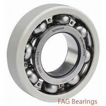 95 mm x 170 mm x 43 mm  FAG 22219-E1-K  Spherical Roller Bearings
