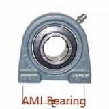 AMI MUCHPL206CB  Hanger Unit Bearings
