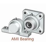 AMI BFBL5-16CW  Flange Block Bearings