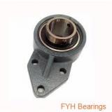 FYH UCF31134 Bearings