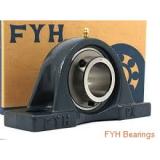 FYH SBPP20720 Bearings